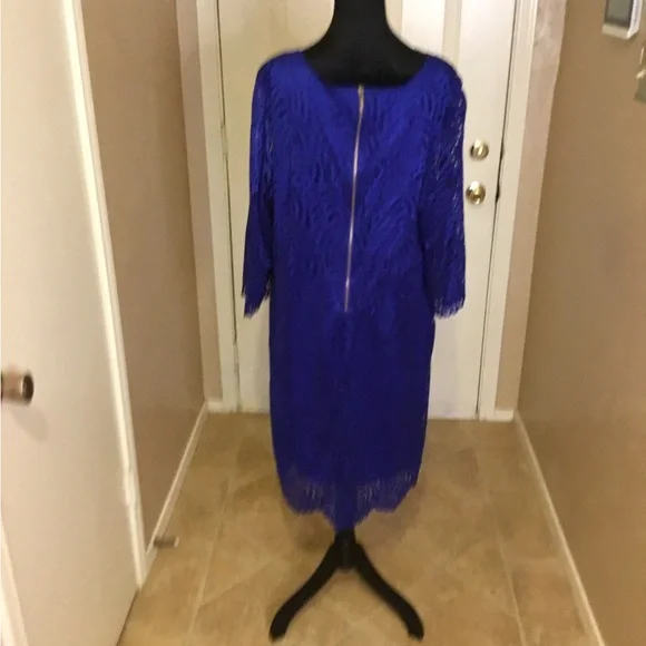Elegant Blue Lace Dress - Picture 3 of 3